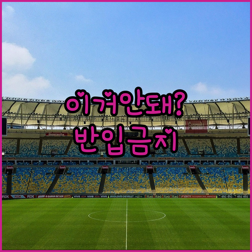 한화생명이글스파크 외부 음식 반입 규정과 반입 제한 물품