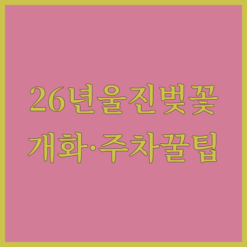 2026 울진 벚꽃 개화 시기 명소 주차 정보 총정리
