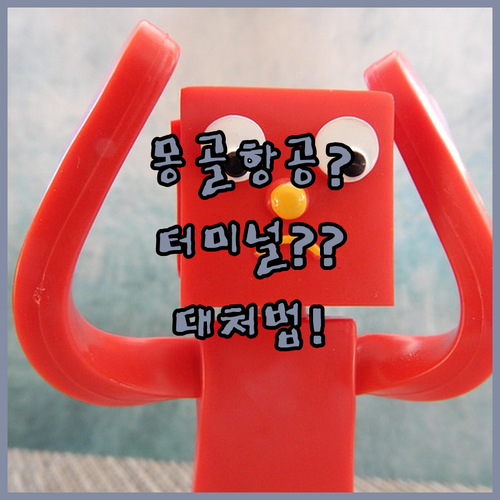 몽골항공 터미널 헷갈릴 때 대처법과 실시간 확인 팁