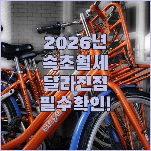 속초시 청년월세 2026년 달라진 조건과 지급 일정