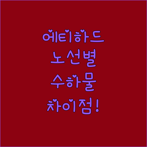 에티하드 항공 노선별 위탁수하물 차이점