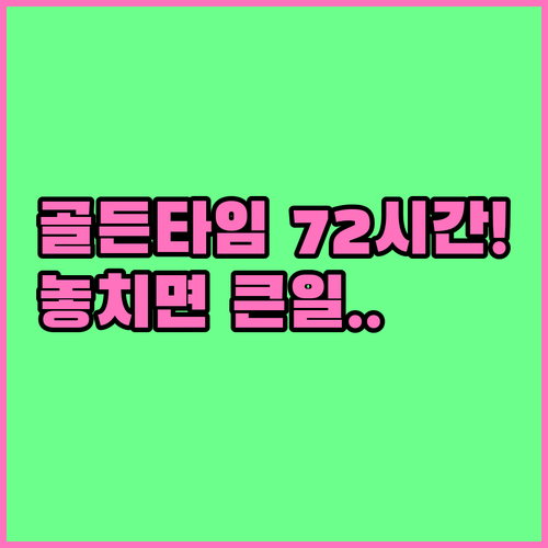 대상포진 골든타임 72시간의 중요성과 초기 대응 방법