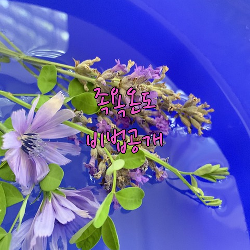 image 9d1e43cc