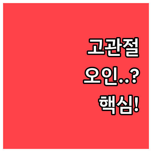 고관절 퇴행성 관절염 오인하기 쉬운 통증 위치와 진단