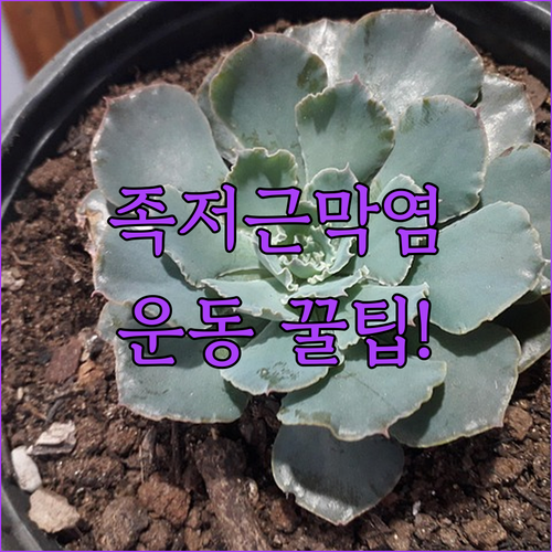 image d29e6255