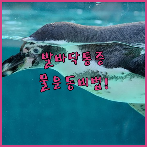image e8ab1f8d